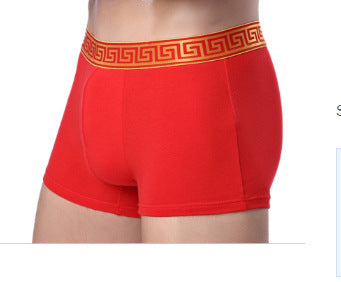 Slips de boxer en coton pour homme Casual Solid Color Four Corners