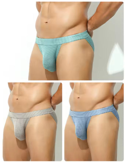Les slips haute coupe pour hommes montrent les sous-vêtements sexy du Triangle Big Nylon