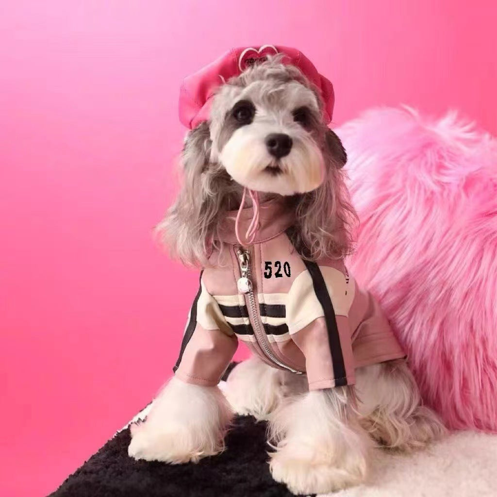 Dog Automnehiver Vêtements Veste de moto manteau