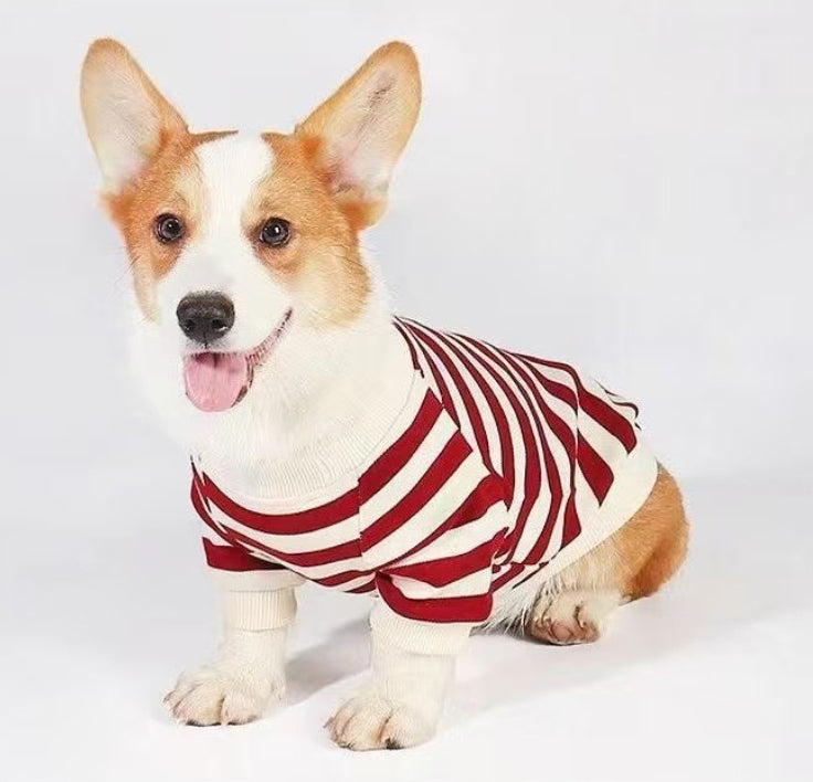Vêtements pour chiens moyens à grands Corgis et Shih Tzus