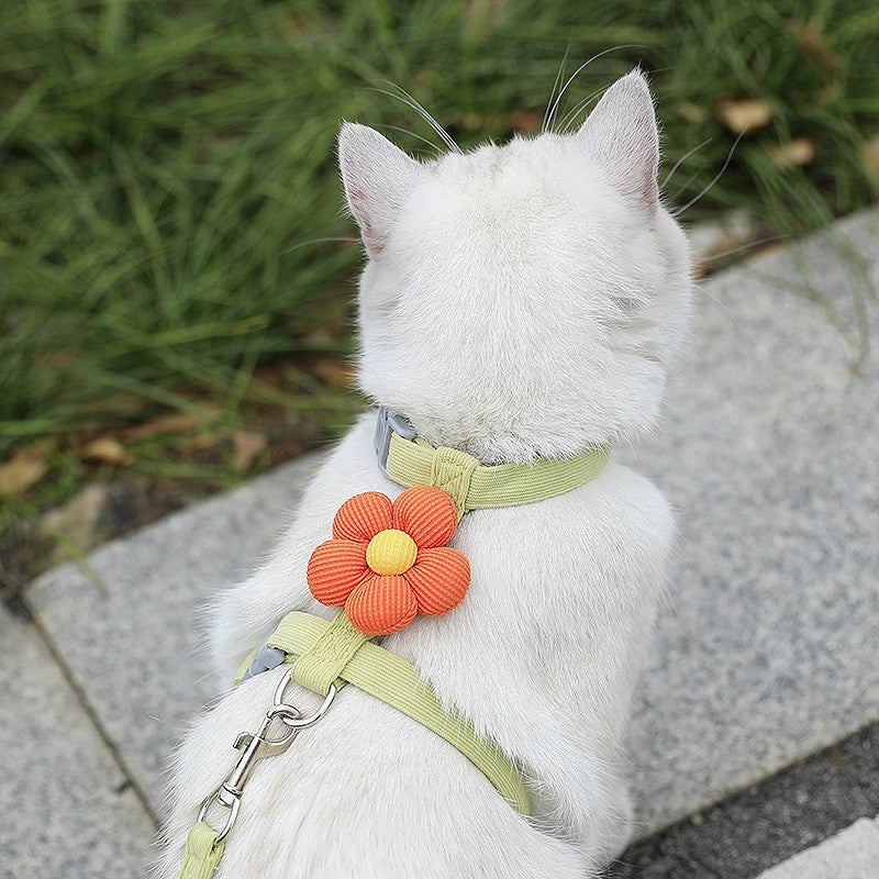 Cat Cartoon Leash Pour l'extérieur avec Ajusteur en forme de I pour prévenir l'évasion