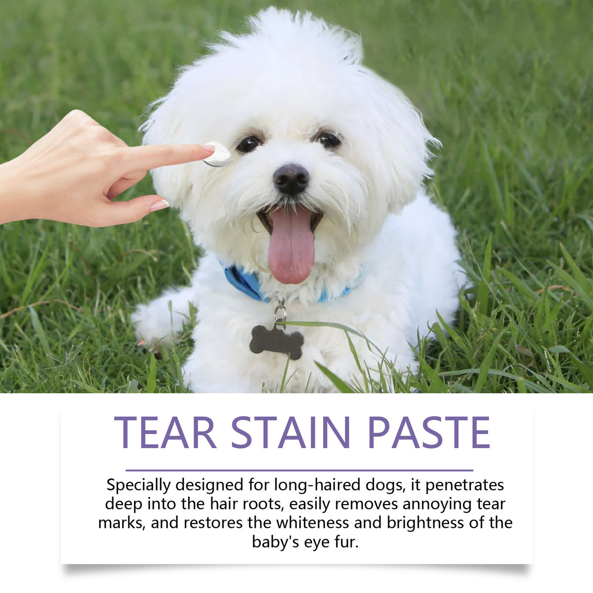 Baume Yegbong pour les yeux des chiens - Nettoyage doux et hydratant pour les yeux des chiens