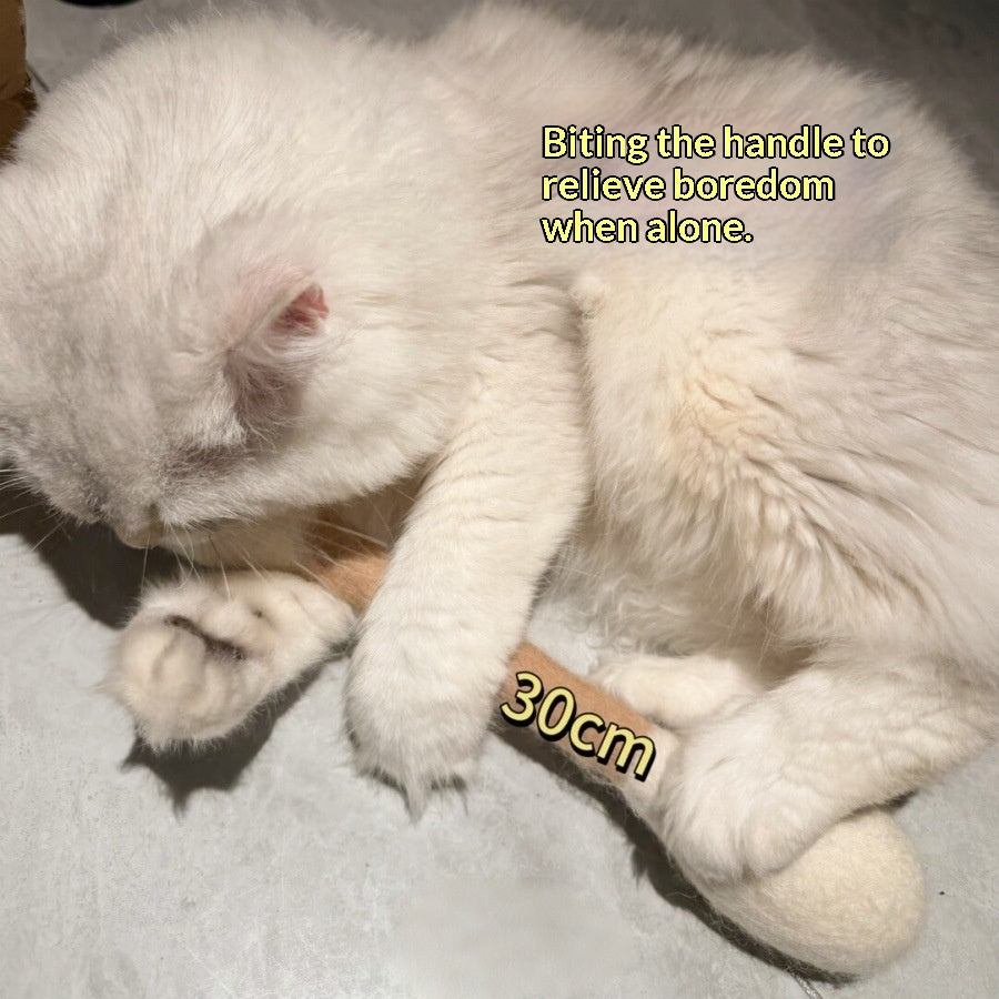 Jouet à renifler Catnip pour soulager l'ennui