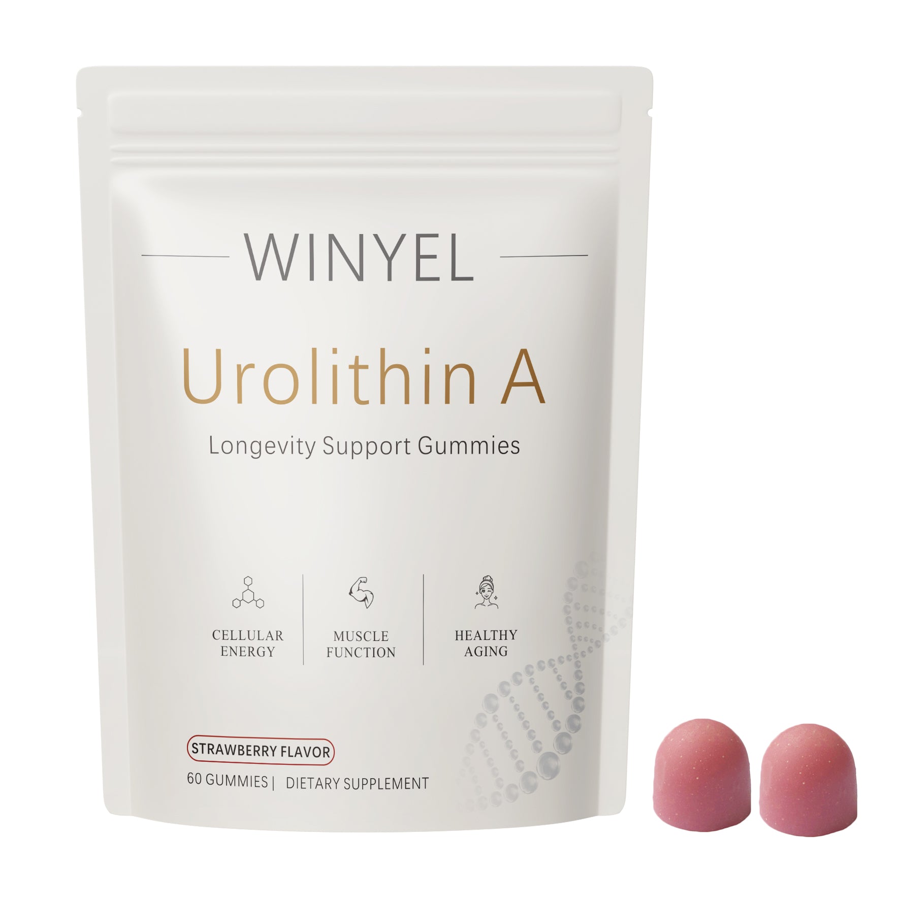WINYEL Urolithine Un supplément Gommies - Pour un vieillissement en santé Énergie cellulaire Force musculaire