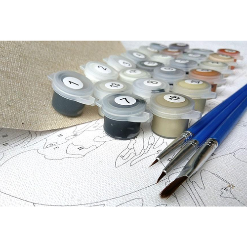 Peur ou surprise- peinture bricolage par kit de chiffres