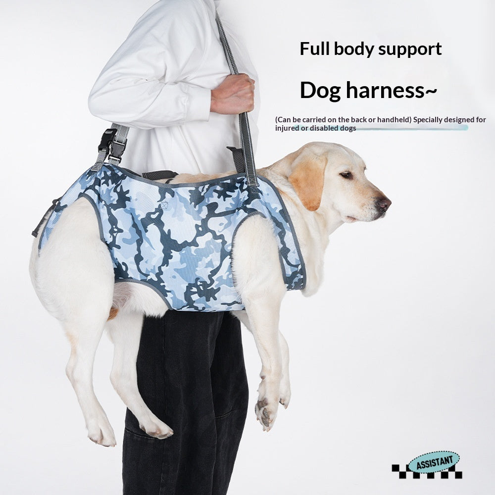 Harnais de réadaptation pour animaux de compagnie