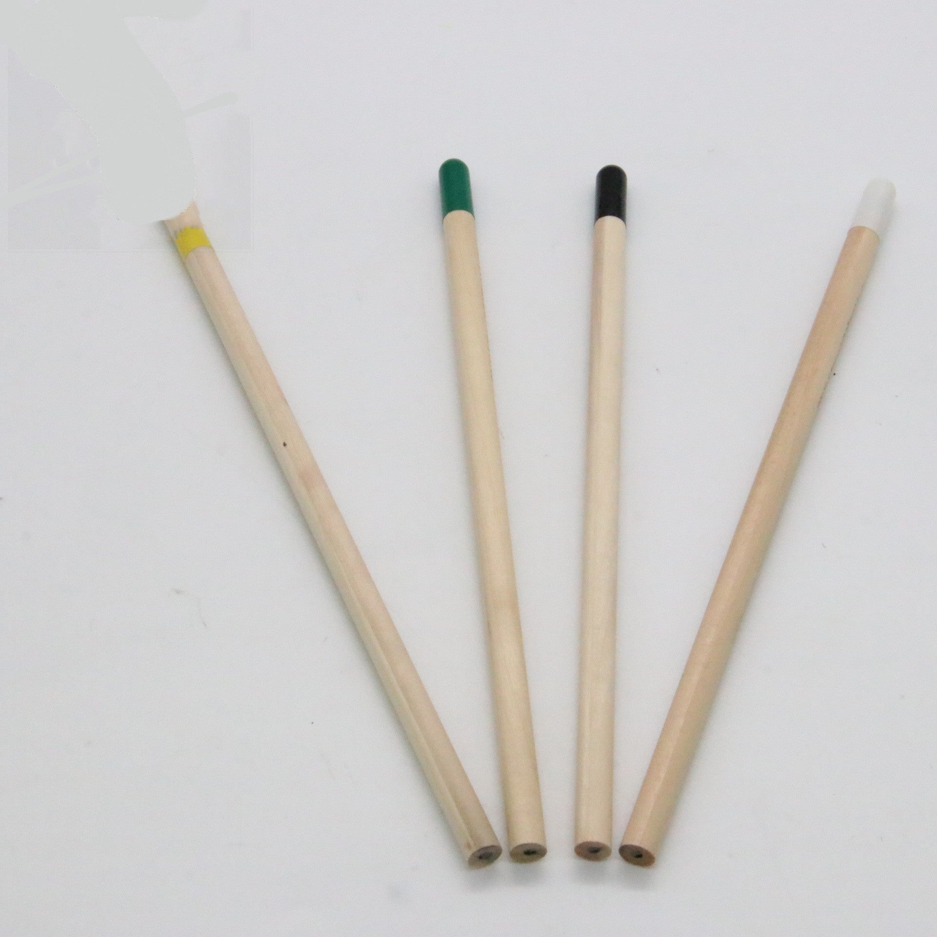 Graines Pencil Germinable Plant Pencil HB Recharge Capsules dégradables