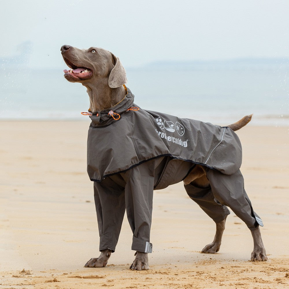 Poncho imperméable moyen grand chien à quatre pattes