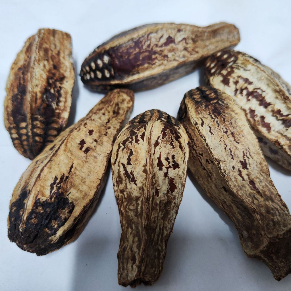 Carambola Noyau d'oiseaux Jouet d'oiseaux Fruits séchés comestibles