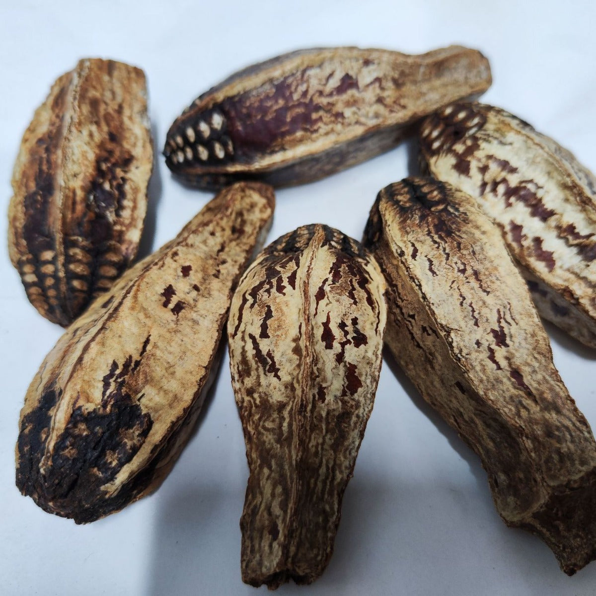 Carambola Noyau d'oiseaux Jouet d'oiseaux Fruits séchés comestibles