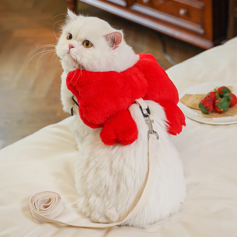 Pet Bow Cost Strrap Traction Rope de marche chien corde et chat sortir mignon Bow Self Bac
