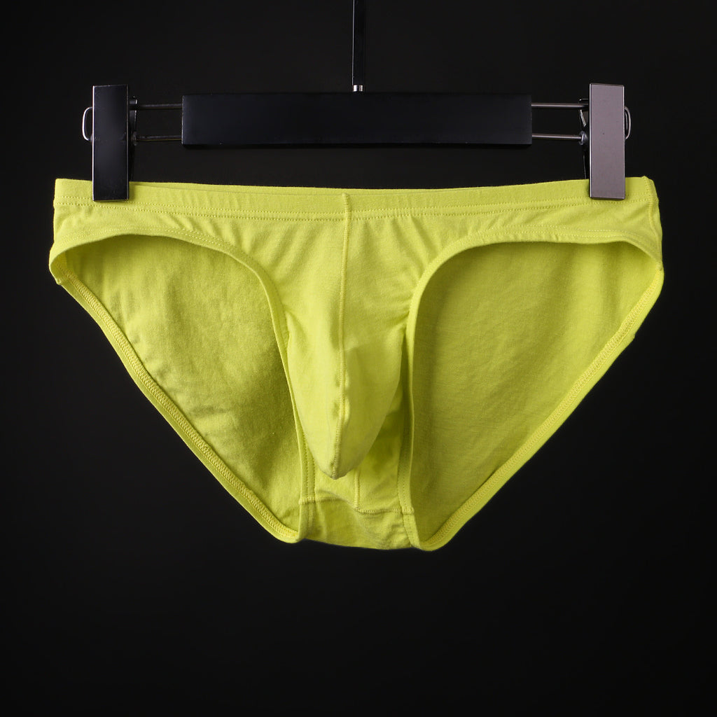 Sous-vêtements en coton Triangle pour hommes Basse taille Sexy U Pouch