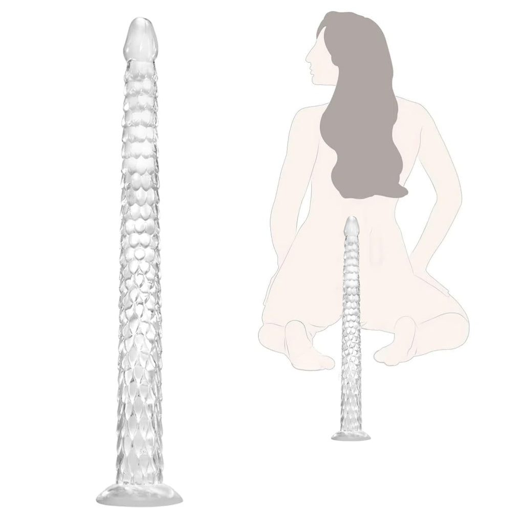 Anode fausse transparente de 18.9 pouces
