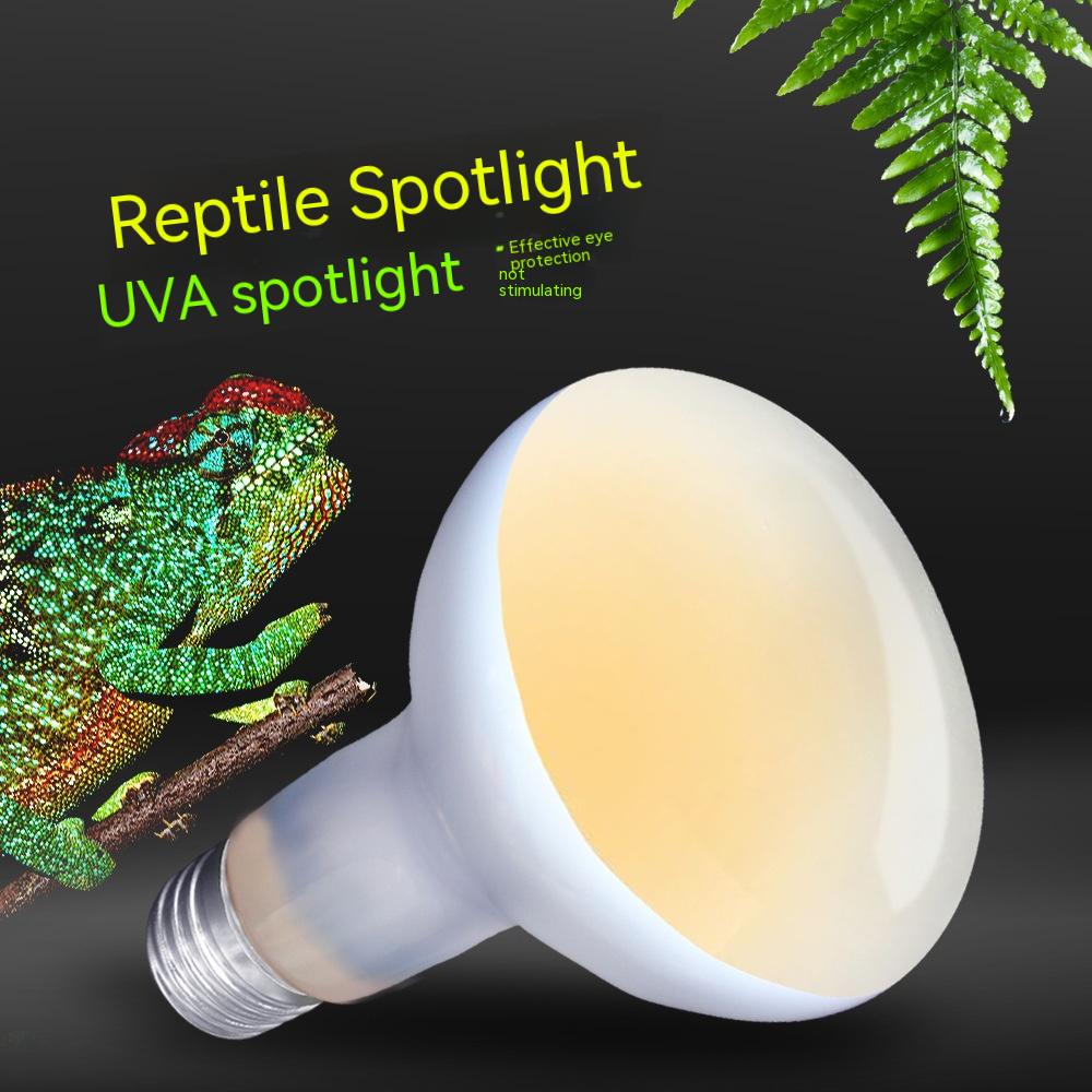 220V Animaux Escalade Chauffage Tortue Lizard Day Lampe de chauffage