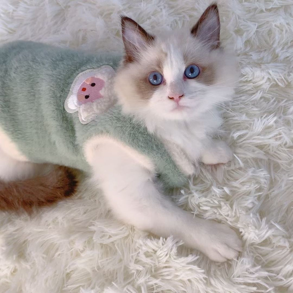 Chandail en peluche chaude d'hiver
