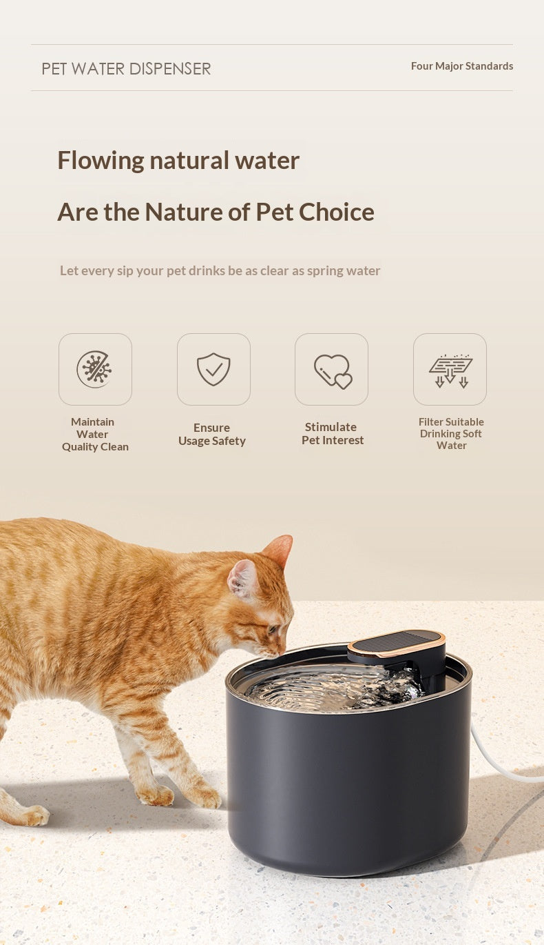 Fontaine d'eau intelligente à température constante pour animaux de compagnie