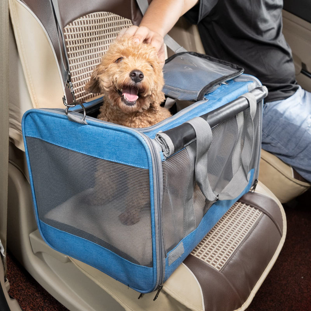 Transporteur pour chats grands et moyens