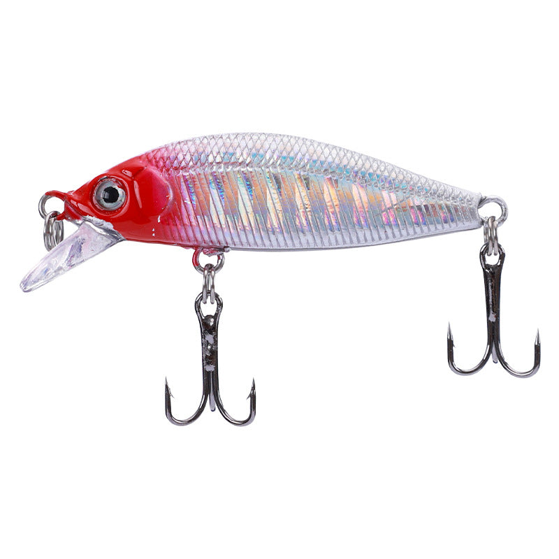 Pêche en eau douce Cockroach Bass Blackfish Bait