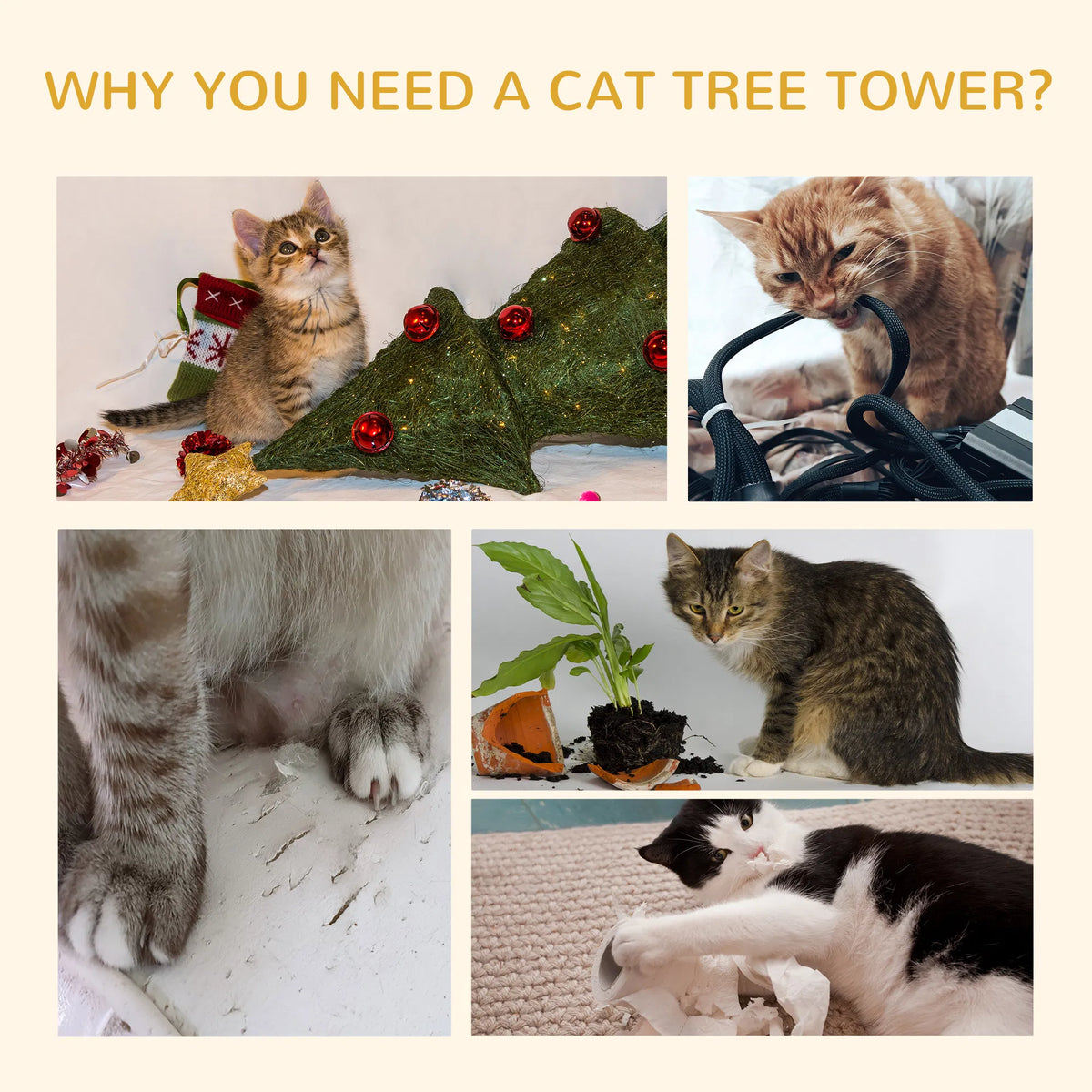 Maison de chat en bois / Arbres de chat /Tour d'escalade de chat