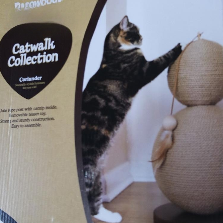 Sisal Scratch résistant à la poire sphérique Fun Cat Climber