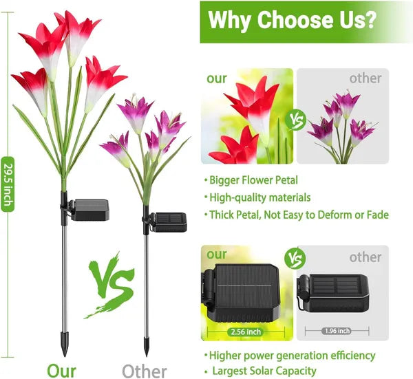 Outdoor Solar Lights