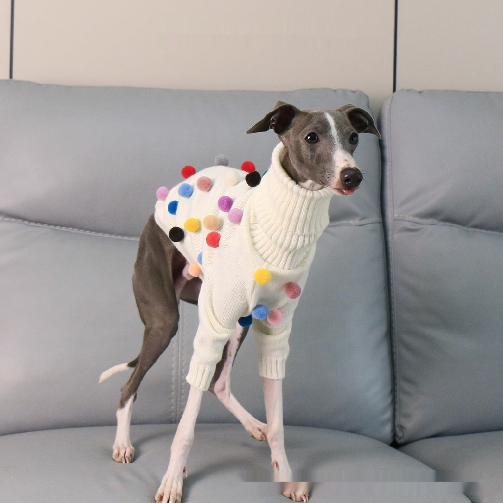 Chandail de Noël de Whippet