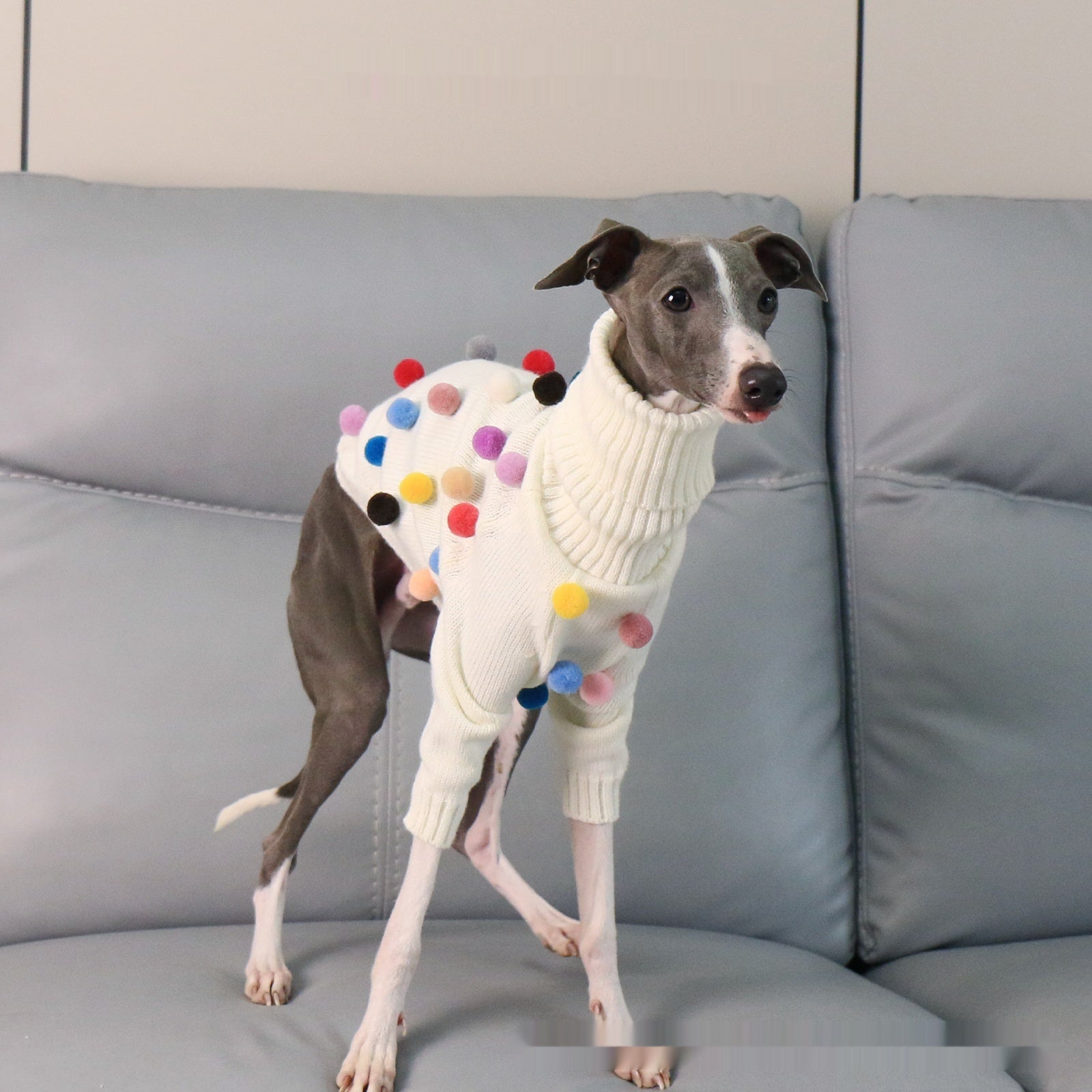 Chandail de Noël de Whippet