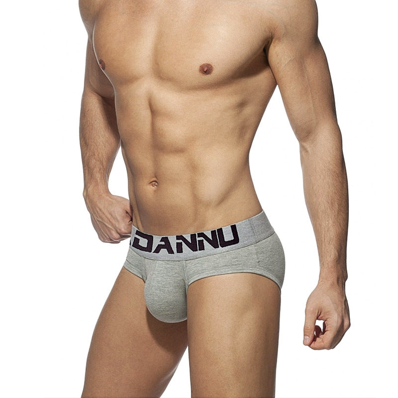 Slip homme Sexy Pure Cotton Confortable Simple Trendy Lettres Basse taille Respirant U Pou