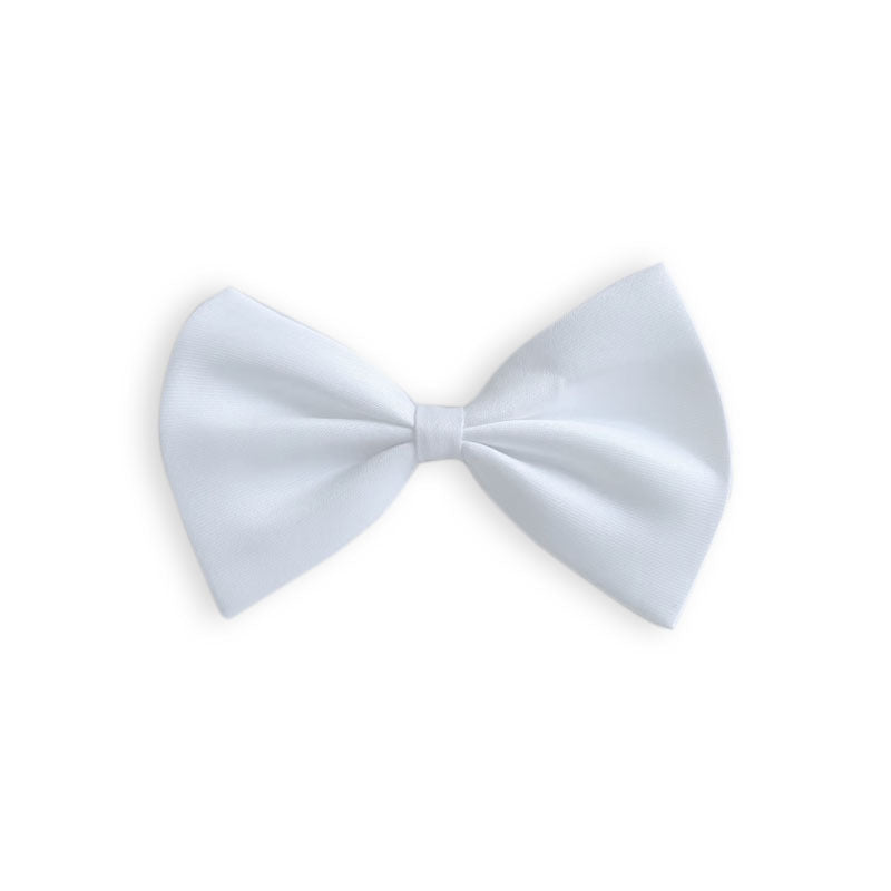 Collier pour animal de compagnie en couleur solide simple