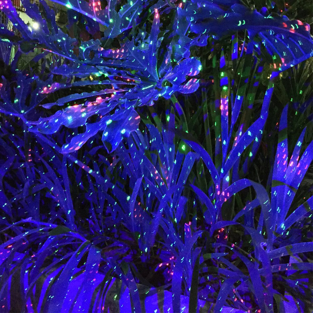 Lampes de pelouse et lumières de projection de paysage