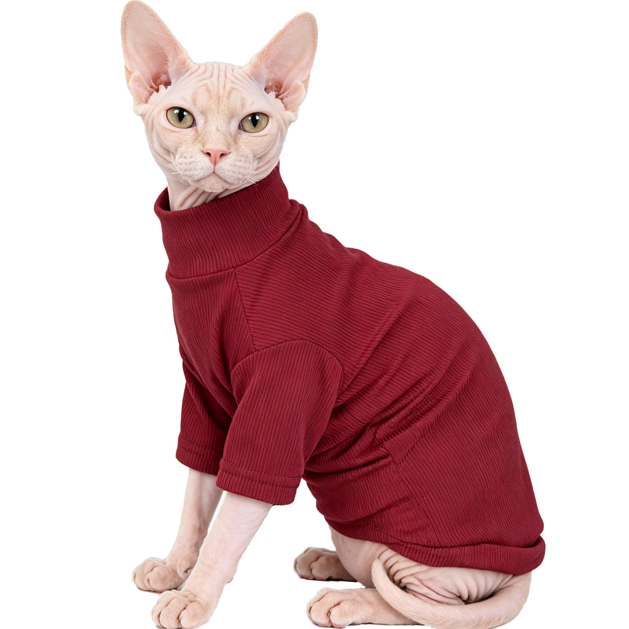 Sphynx Chats Vêtements Chats sans cheveux Chemise Col tortue Sphynx Vêtements Kitten Chandails T-shirts