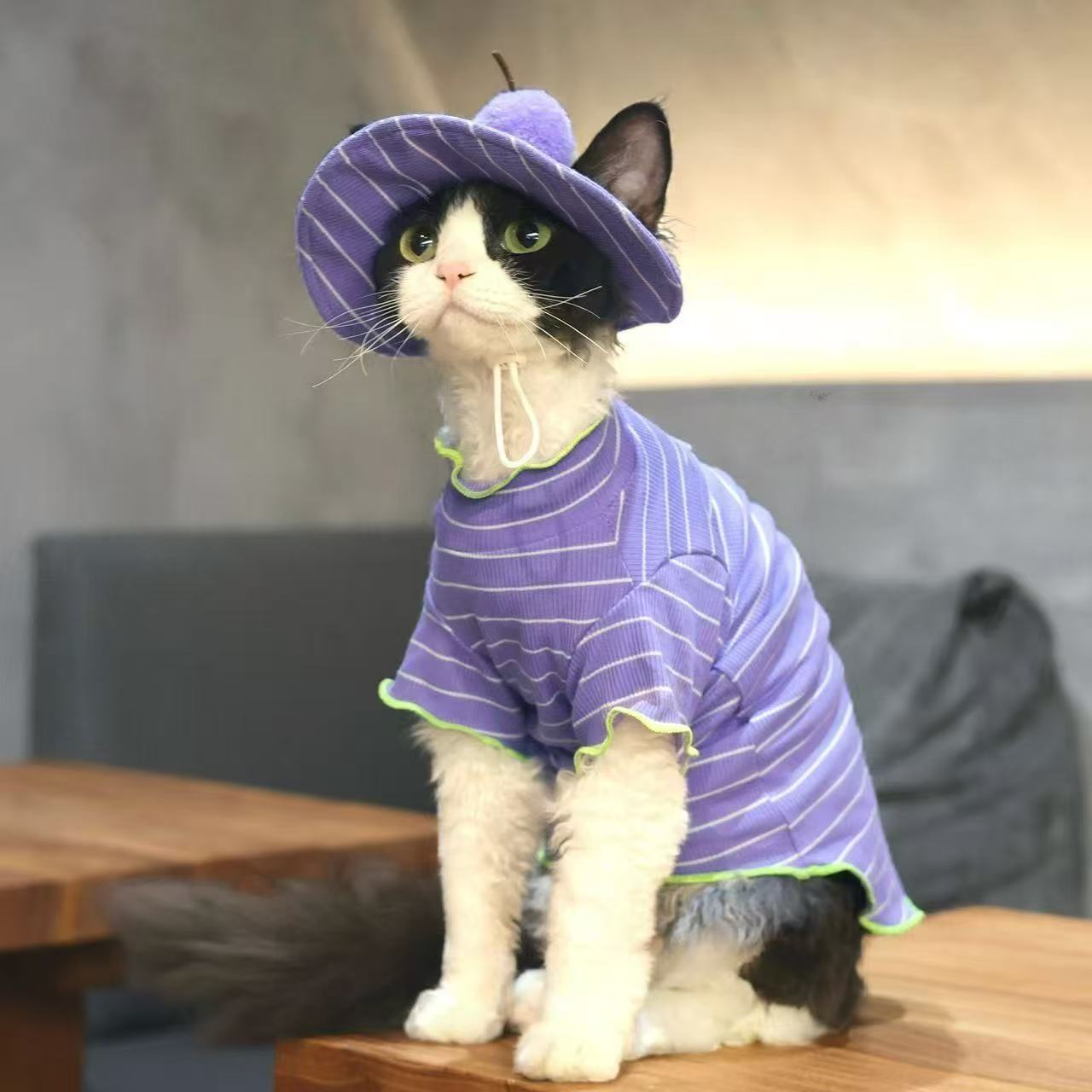 T-Shirt et chapeau de soleil 2 pièces pour chat rayé d'été