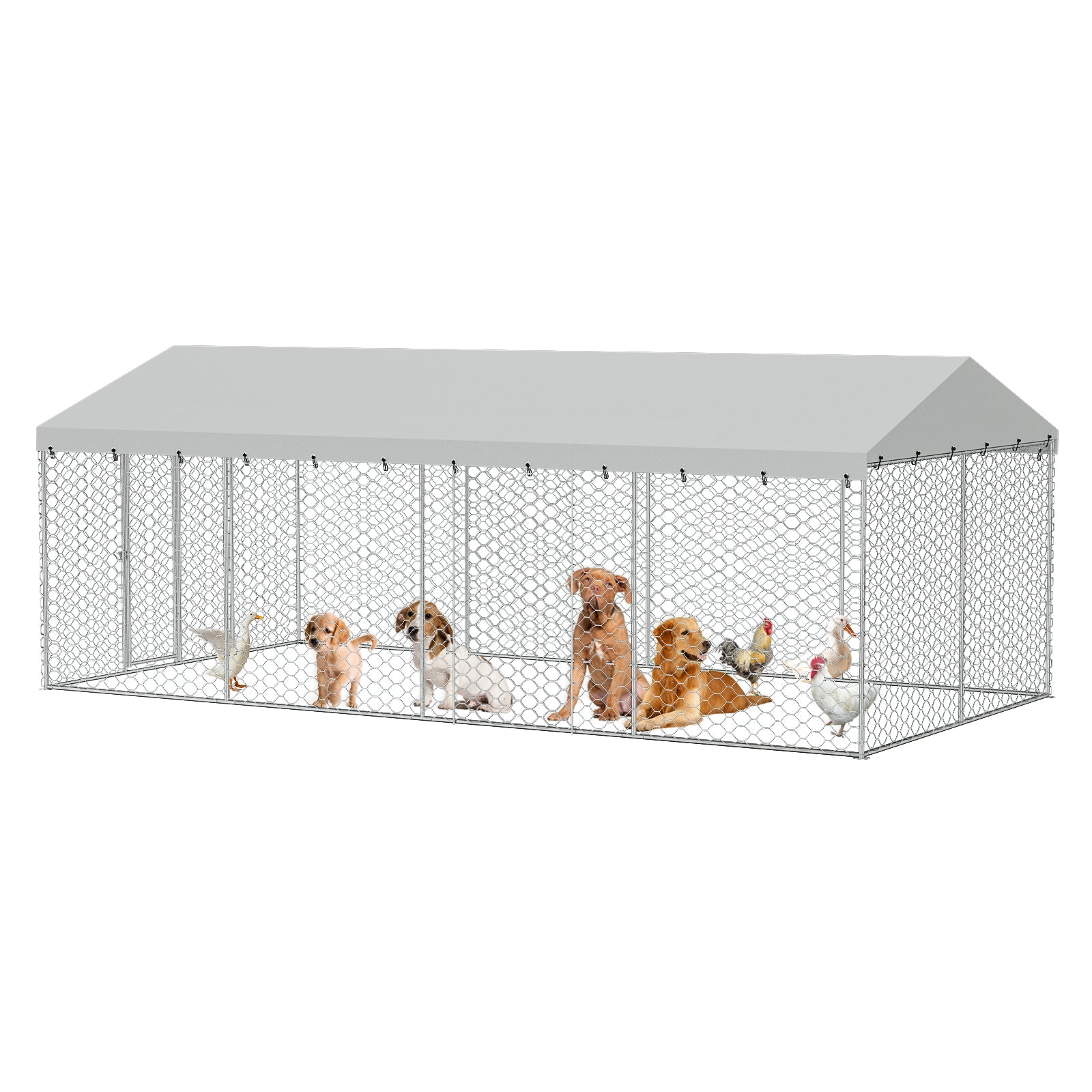 10x20 FT Grand Kennel de chien extérieur avec canopée