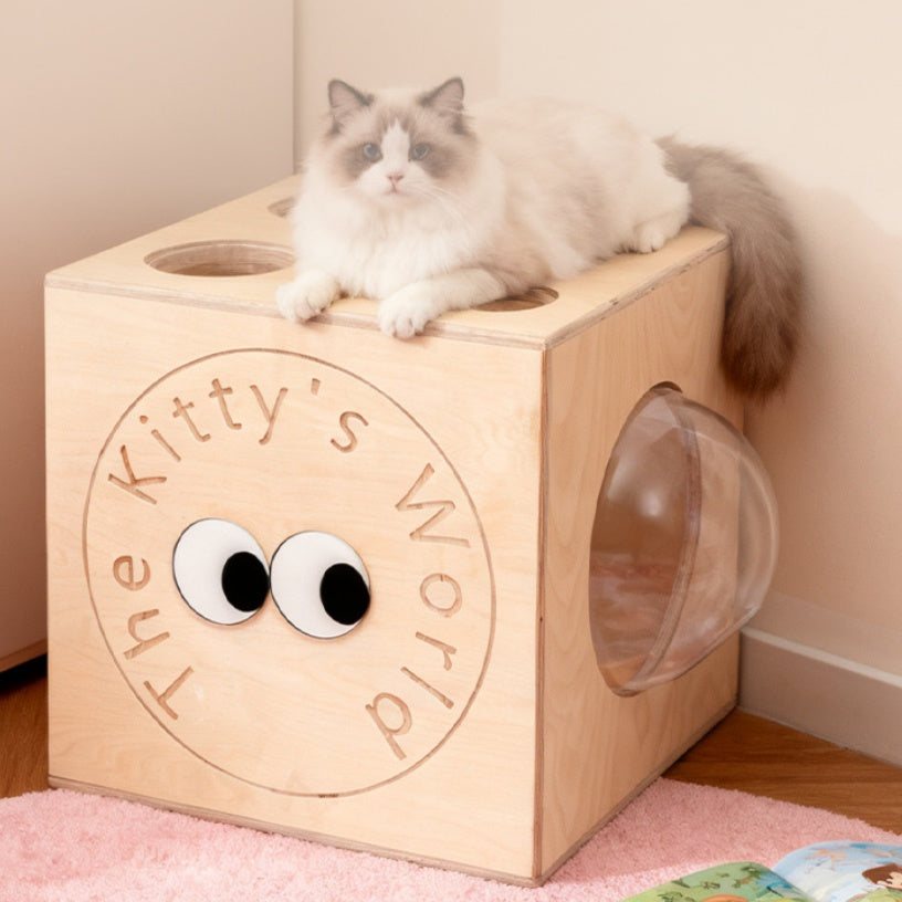 Maison du bâtiment de cabinet mixte Cat Villa