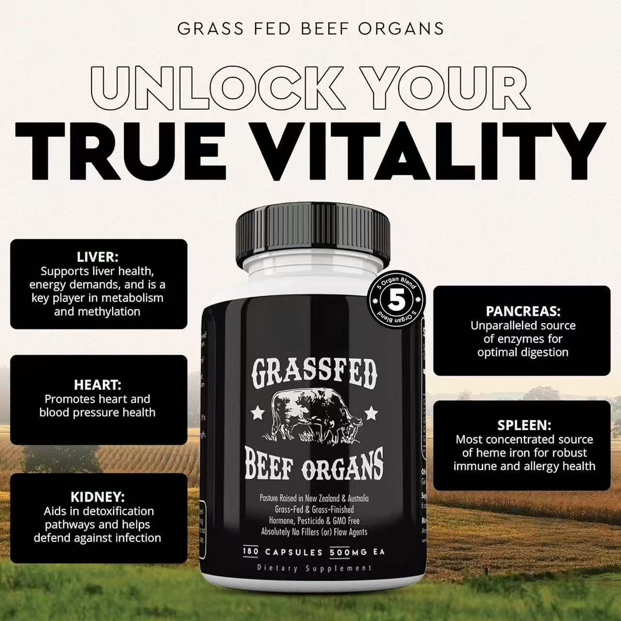 Boeuf Capsules Offales 90 Nombre