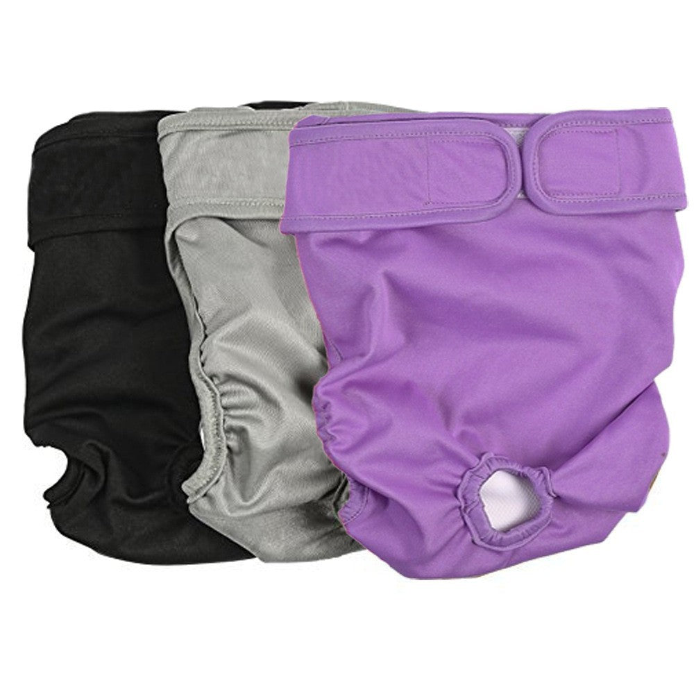 Ceinture physiologique pour chien grand chien