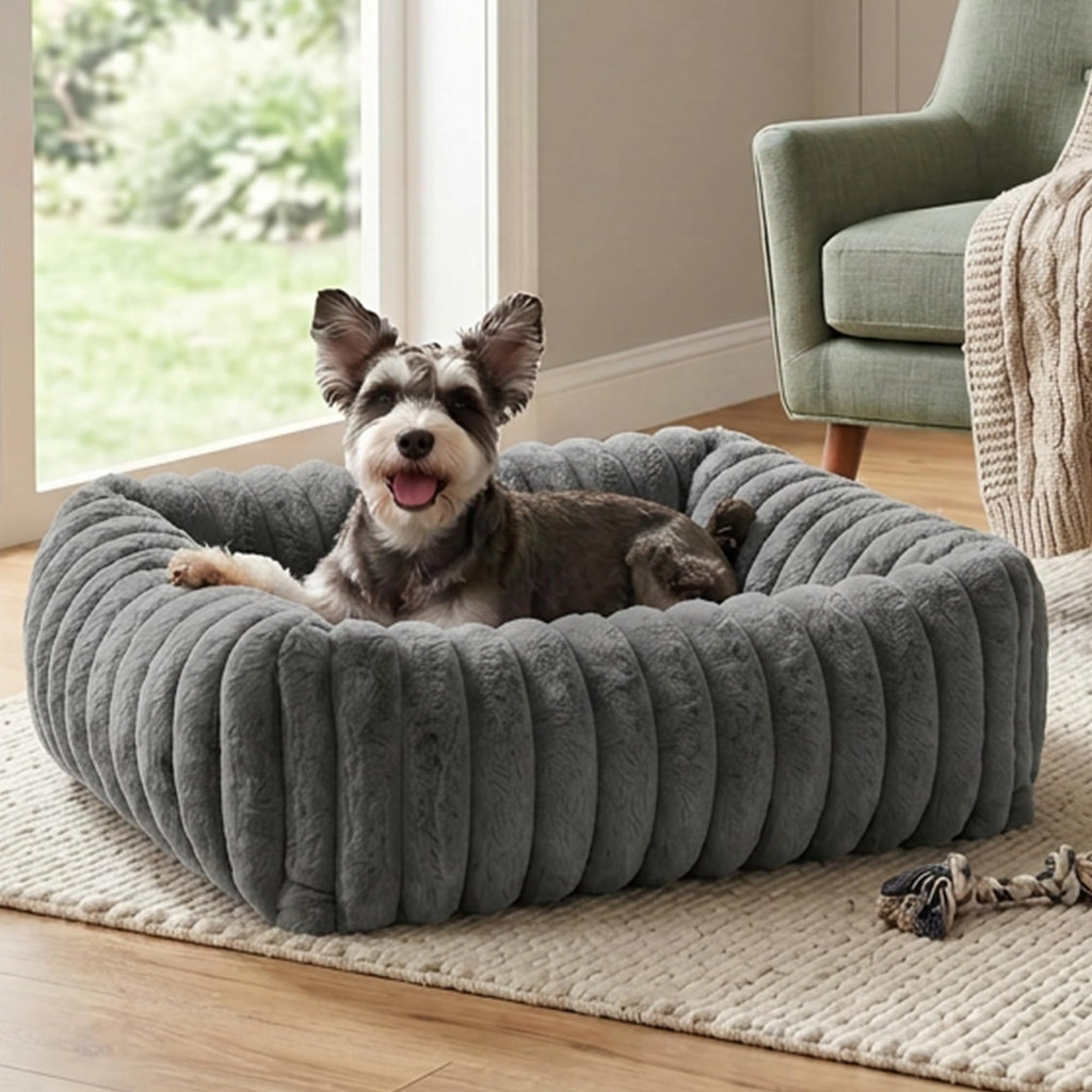 Lits pour chiens pour petits chiens moyens