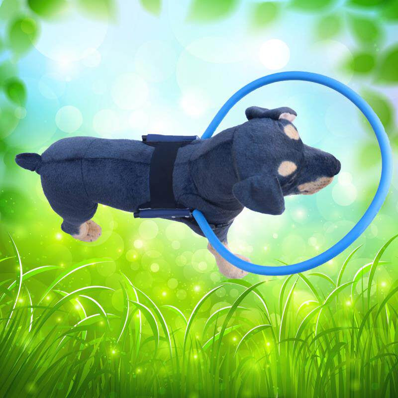 Anneau de protection de la tête pour les animaux aveugles pour prévenir les blessures à la tête et aux yeux