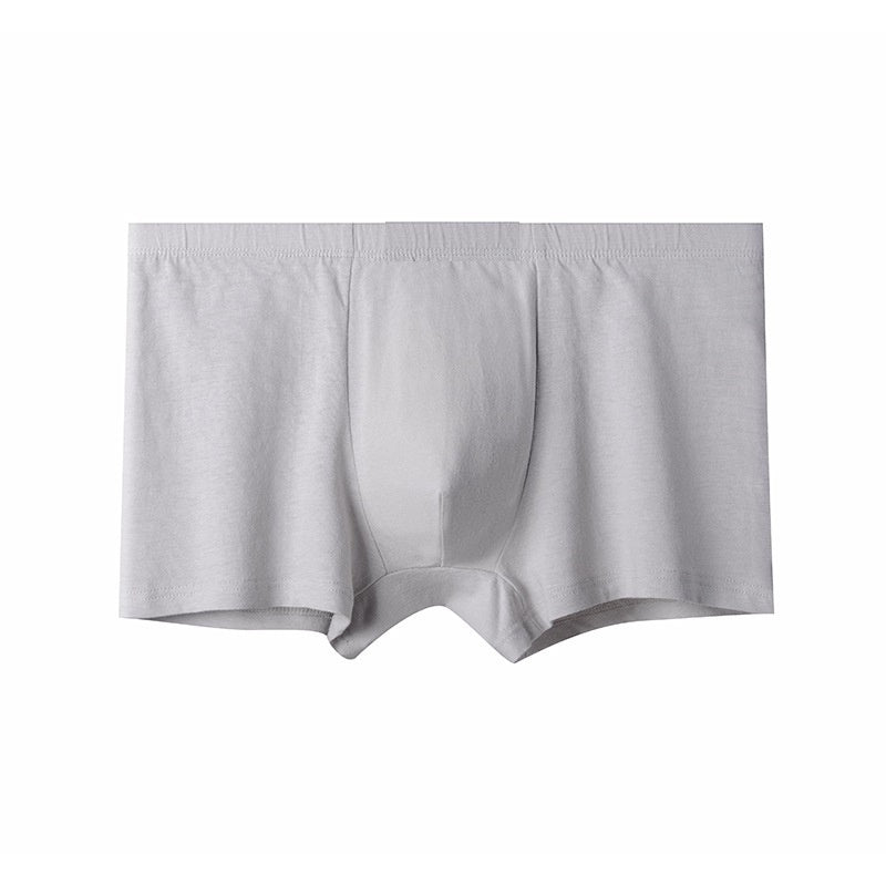 Briefs pour hommes pour hommes d'âge moyen et plus âgés