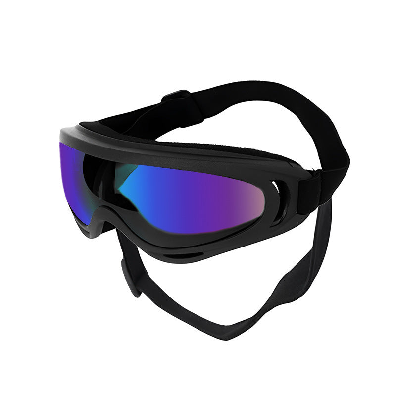 Verres de chien en plastique anti-vent
