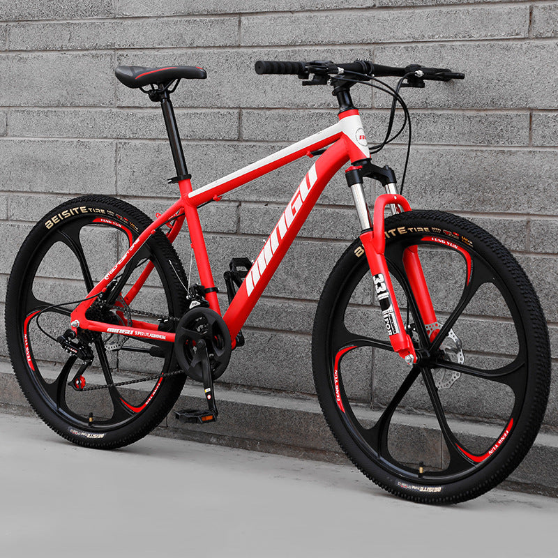 Vélo de vélo de montagne 24 26 pouces disque frein d'absorption de choc vélo hommes et les femmes Var
