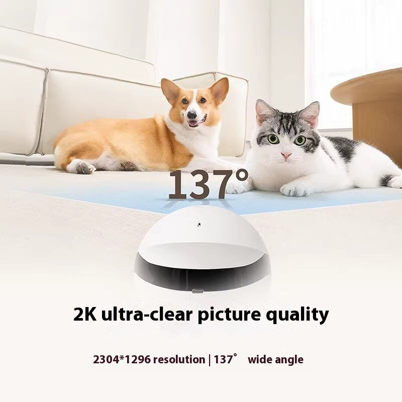 Smart Mobile Camera sans fil Cat Accompagner Robot