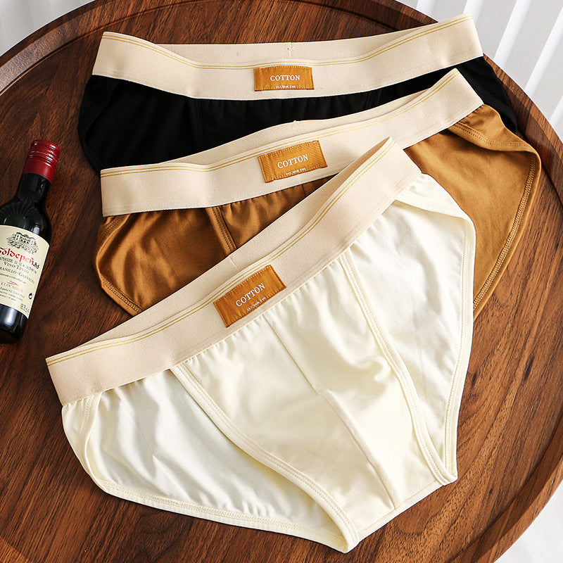 Slips en coton couleur solide pour hommes
