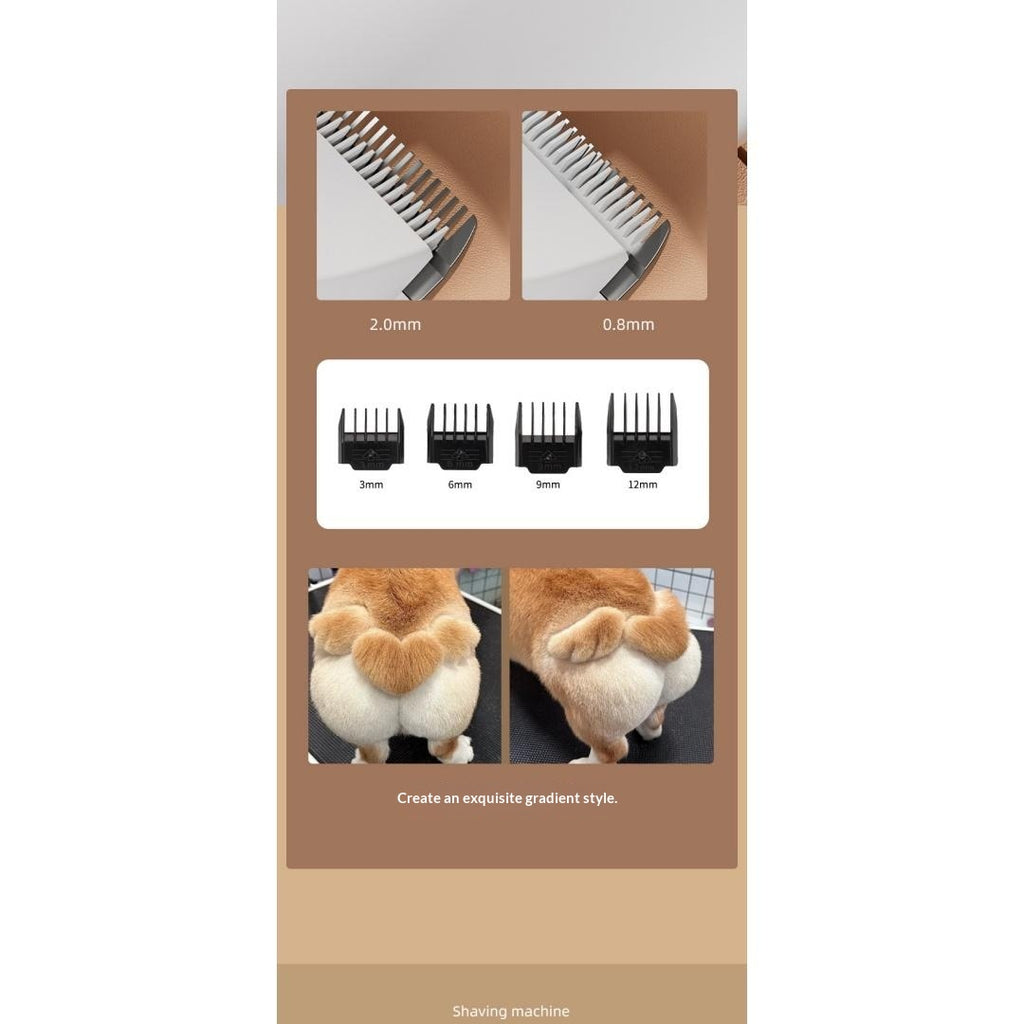 Clipper pour chien