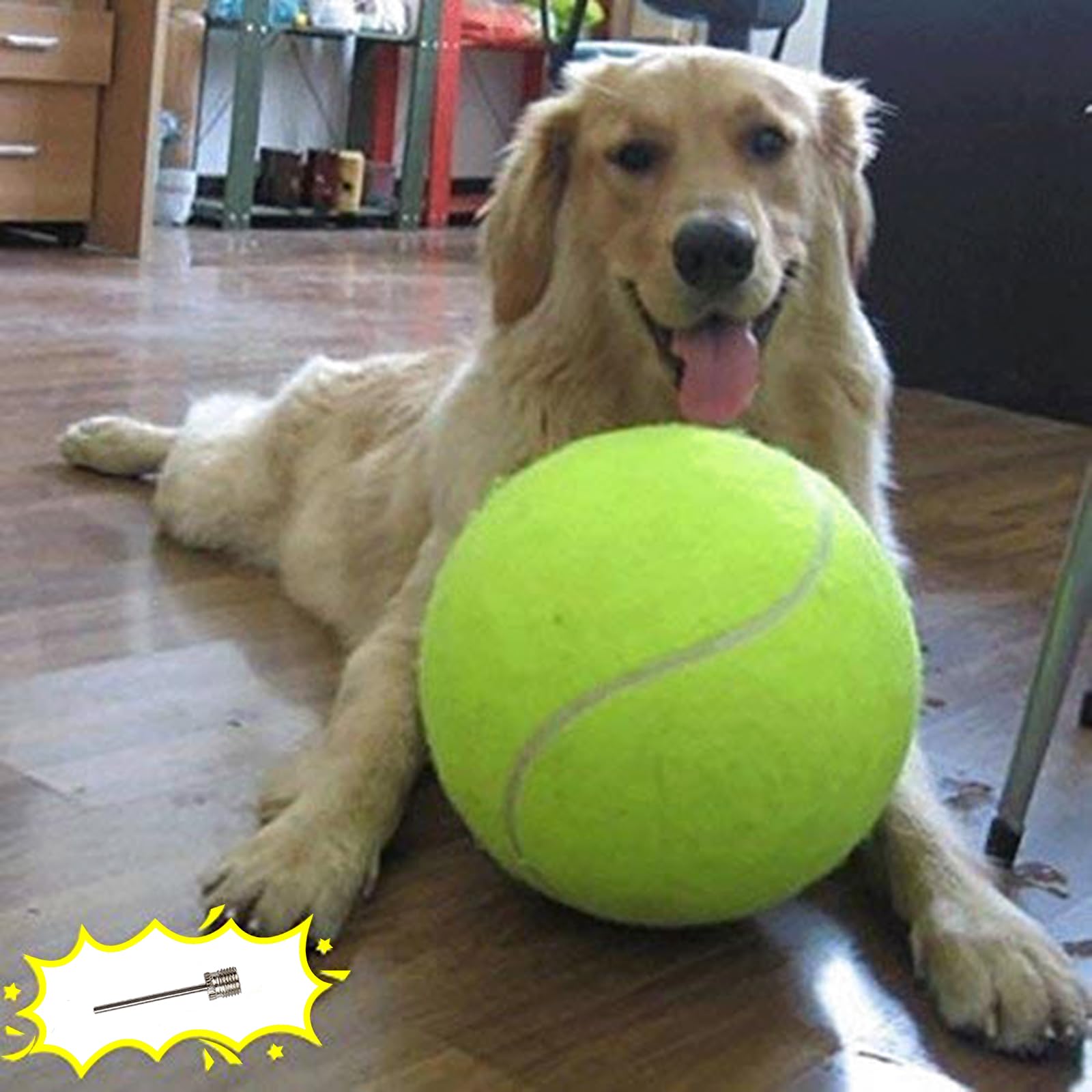 Balle de tennis pour chiens