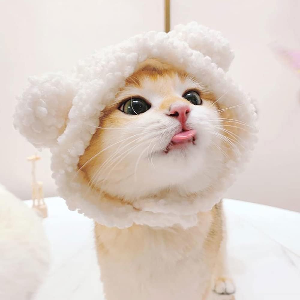 Costume de chat mignon Chapeau d'ours pour chat chaud doux petite tête d'animal