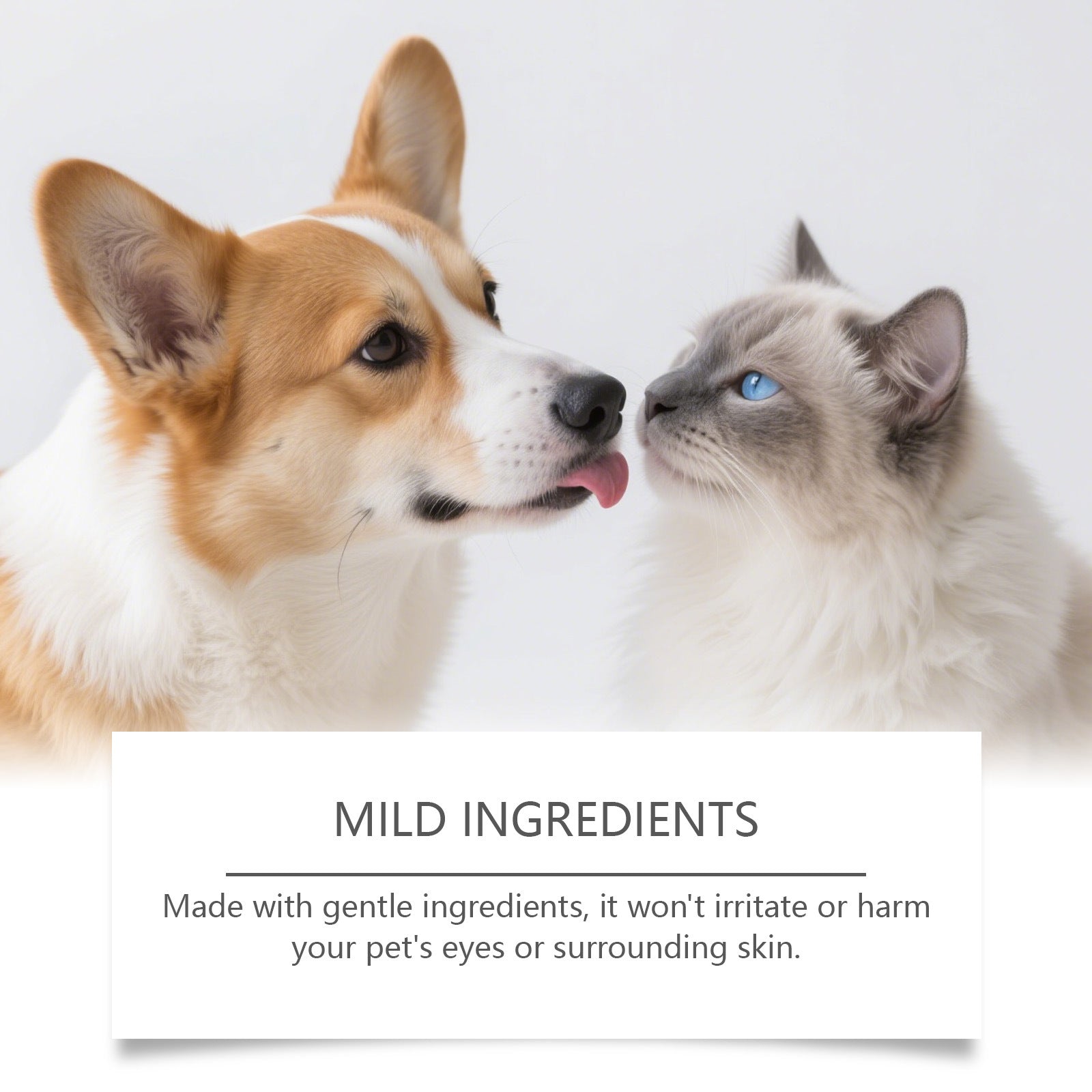 Gel hydratant pour les yeux d'animal