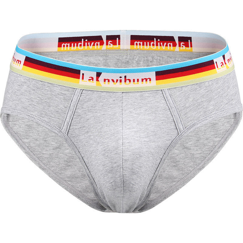Slips en coton Rainbow Rubber Band