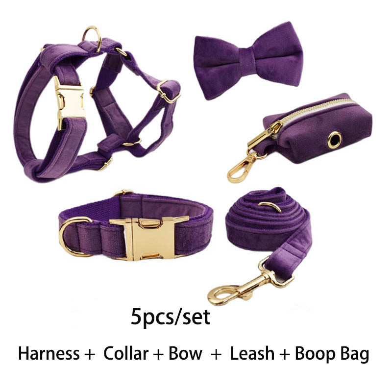Collier de chien en peluche et fournitures pour animaux de compagnie en laisse