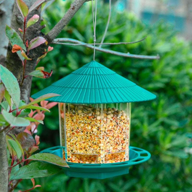 Jardin extérieur suspendu Oiseaux transparents